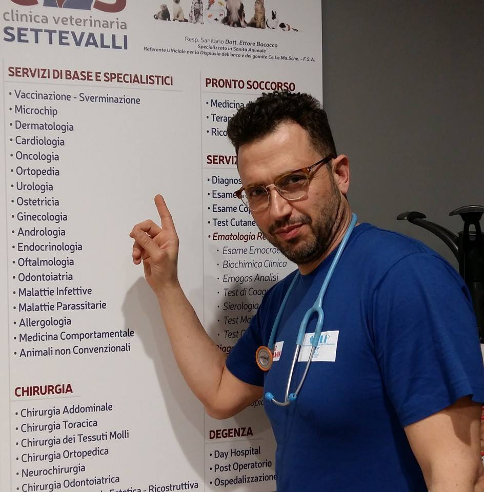 Dott. Ettore Bacocco — Clinica Veterinaria Settevalli