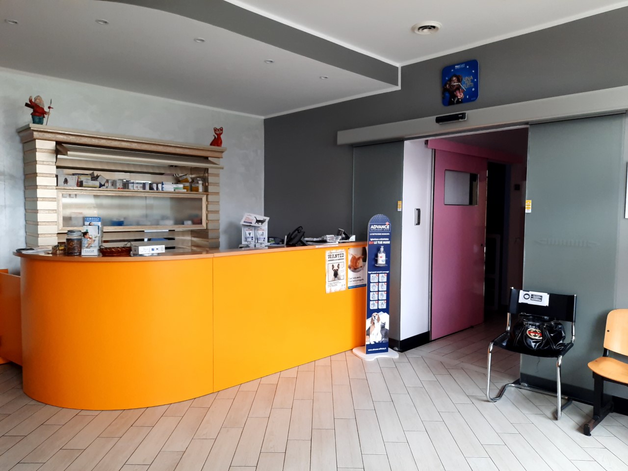 Clinica Veterinaria Settevalli — interno